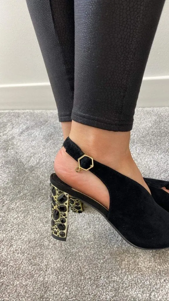 MELONI B