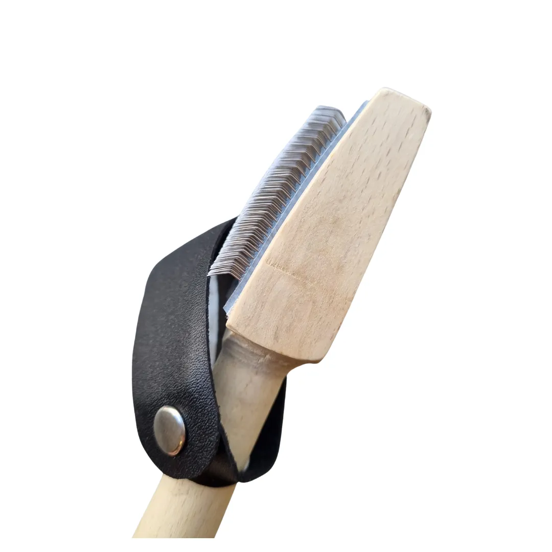 Shoe Brush